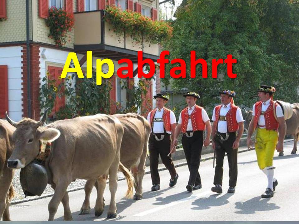 Alpabfahrt